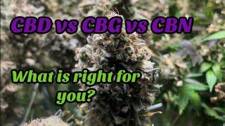 CBD vs CBG vs CBN - The Benefits