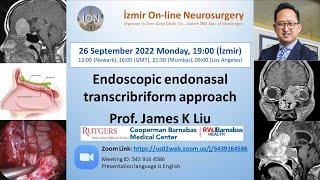 ION 281. ZOOM lecture,  Liu: Endoscopic Endonasal Transcribriform Approach  26.09.22