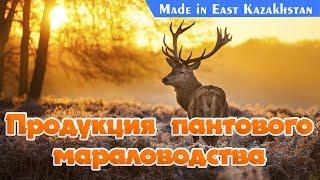 MADE IN EAST KAZAKHSTAN: Продукция пантового мараловодства