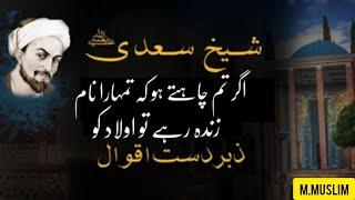 Amazing Quotes of Sheikh Saadi R.H | Sheikh Saadi Ke Aqwal in Urdu | Islamic Video - Aqwal e Zareen