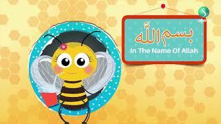 #Bismillah- How to Say #Bismillah- Baraka Bee Nursery- Children- Baby Video - 1 Hour -   #kidssong