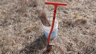 Planting Bare Root Trees With A Dibble