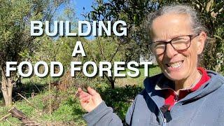 Swale Food Forest -  Tour, Maintenance and Planting | Permaculture Design