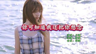 王娜《你可知道我还把你想》KTV 导唱字幕 （备有伴奏视频）