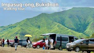 Impasug-ong Bukidnon Walking tour 4K/60fps- Home of the Country's finest Cowboy's