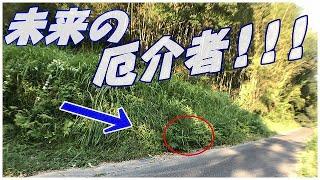 【草刈り】里山を維持するためには一年でも油断は厳禁!!厄介者を放置すると荒廃が進む。先人の知恵から学ぶ対策を現代にアレンジさせなければ!!#稲屋の田舎チャンネル