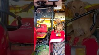 Malik Vo Dekho #shorts #funnyshorts #viralshort #tractor #mahindra