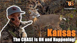 Kansas Bowhunting - The CHASE is ON!