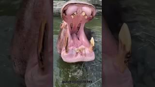 small to big  transformation! || Don't watch the last one ️️