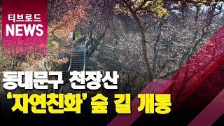 동대문구, 천장산 1.76km '숲 길 열리다.'_티브로드서울