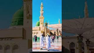 Jashn e Amad e Rasool - Farhan Ali Qadri #islam #freepalestine #shorts #youtubeshorts #shortvideo