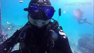 TEAM DIVE HOLIC  #다이브홀릭 #스쿠버다이빙 #다이빙투어 #사이판  다이빙 1일차