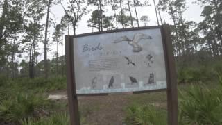 Walking Tour of Tarkiln Bayou Preserve State Park in West Pensacola near Perdido Key