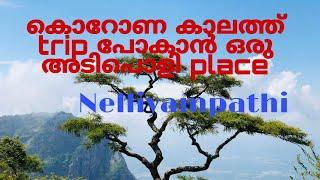 കൊറോണ കാലത്ത് ഒരു അടിപൊളി ട്രിപ്പ്‌ | best tourist place  kerala|tourist place reopen|Nelliyamapathy