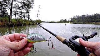 Topwater Fishing in the Rain!