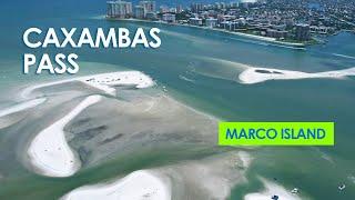 Explore Caxambas Pass off Marco Island - Sandbar & Island Hop by SUP, Kayak, Boat - Great Shelling