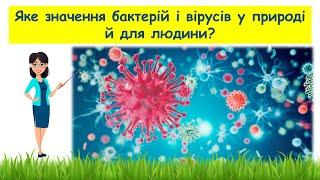 Яке значення бактерій і вірусів у природі й для людини // Пізнаємо природу 5 клас НУШ