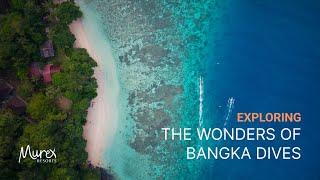 Discover The Hidden Gem on Bangka Island