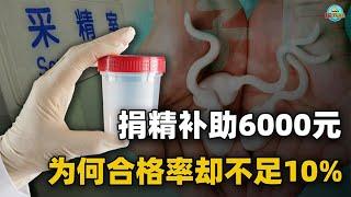 男性捐精一次补助6000元，具体流程是什么？并不是人人都能去！【Hi科普啦】