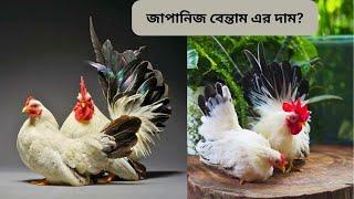 জাপানিজ বেন্তাম মুরগির দাম কত? কোথায় পাব? Japanese Bentam chicken price in Bangladesh & India-