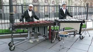 Уличные Музыканты Санкт-Петербурга ... Вибрафон.  /05.2022/