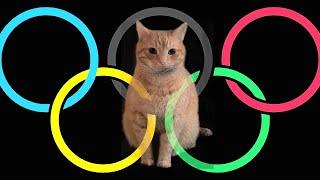 Olympic Games for Cats