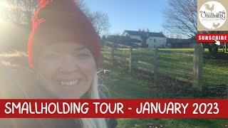 Full Smallholding TOUR | New Year 2023 | UK Homestead