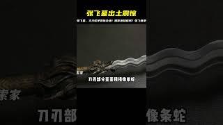 成都挖出張飛墓，墓中出土丈八蛇矛驚呆眾人，張飛竟是一個文官？ #尋寶 #古墓 #文物 #考古發現 #揭秘
