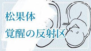 松果体を覚醒させるツボはここにある（反射区の話）