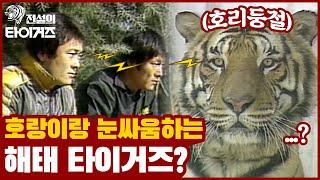 1983년 한국시리즈 우승 후 김응용 감독 인터뷰와 해태 선수들의 풋풋했던 시절 / 호랑이랑 눈싸움하는 해태 선수들..?  [전설의 타이거즈]