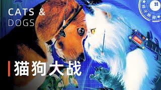 《猫狗大战》萌宠来袭|他的身边为何总是出现会说话的狗和猫