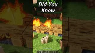 Did You Know! (Minecraft) | #shorts