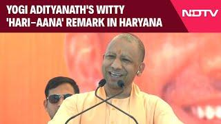 Yogi Adityanath Latest News | Yogi Adityanath's Witty 'Hari-Aana' Remark In Haryana