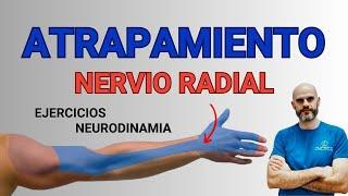 NERVIO RADIAL (diagnóstico y tratamiento) NEURODINAMIA