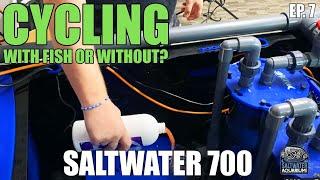 CYCLING Your Saltwater Aquarium With OR Without Fish?! - Saltwater 700