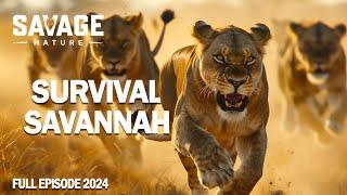 WILD SAVANNAH: Apex Predators Survive in the Heart of Africa | Animal Documentary