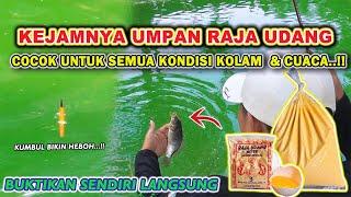 SADISNYA RACIKAN UMPAN RAJA UDANG !!  UMPAN IKAN MAS TERJITU BABON RAME, LOMBA & HARIAN 