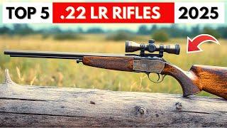 TOP 5 Best 22 LR Rifles 2025 | Choose The Right One!