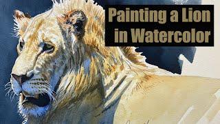 Live Stream - Painting a Lion in Watercolor