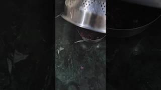 Aaj ka khana ️( from my kitchen E no -1) #trending #lunch #shorts #youtube #kitchen #lovingvibes