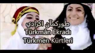 Kürtleşmiş Türkmen Aşiretleri - Türk Kürtleri