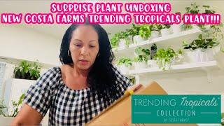 SURPRISE PLANT UNBOXING || NEW COSTA FARMS TRENDING TROPICALS PLANT