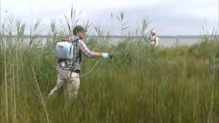 USEPA- Great Lakes Restoration Initiative Project