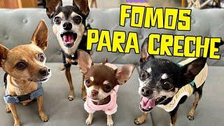 FOMOS PARA UMA CRECHE DE CÃES E RECEBEMOS BOLETIM DE COMPORTAMENTO!