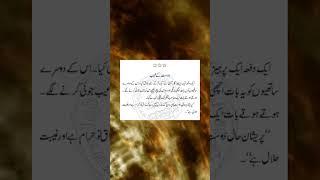 Urdu quotes | hikayat e saadi |golden words #shorts #urduquotes #viral #gk  #viralvideo #hikayat