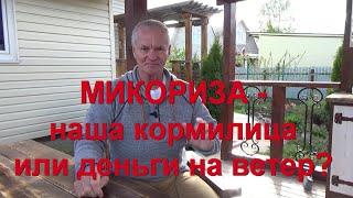 63. МИКОРИЗА - чудесное средство или деньги на ветер?