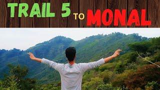 Trail 5 to Monal Hiking  | Hiking on Margalla Hills to Monal Restaurant Islamabad Pakistan  