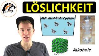 LÖSLICHKEIT erklärt – (Salze & Moleküle) | NEU