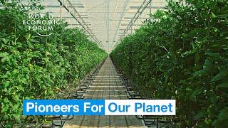 Farmers in the Netherlands are growing more food using less resources | Pioneers for Our Planet