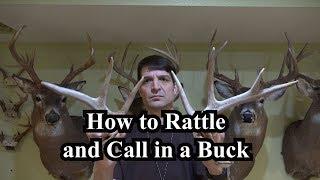 How to Rattle and Call in a Buck